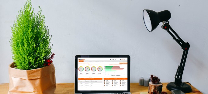 mangobilling-banner_aarxw6